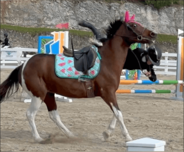 Horse logo